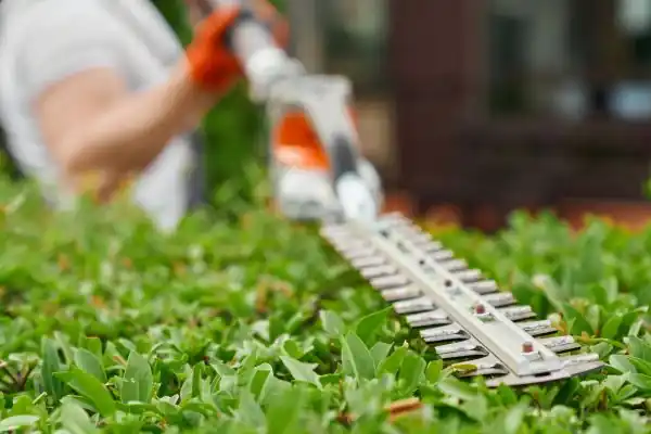 Assurance décennale paysagiste Assurance BTP en France